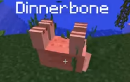 Minecraft name tag tricks - Dinnerbone