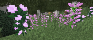 Ideas to build in minecraft -  Flower Fields