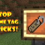 Minecraft name tag tricks