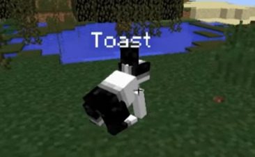 Minecraft name tag tricks - toast