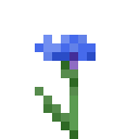 Minecraft Flowers - Cornflower