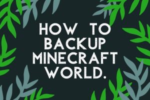 How to Backup Minecraft World