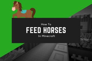 How to Feed Horses in Minecraft