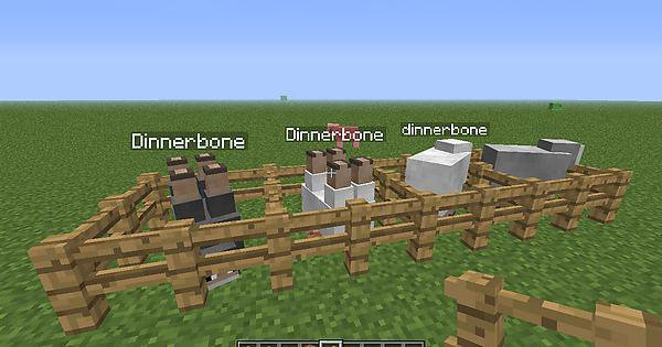 Dinnerbone-Minecraft name tag tricks