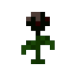 Wither Rose - Flower in Minecraft