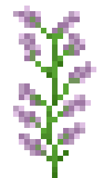 Lilac -  Minecraft Flower