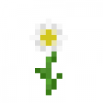 Oxeye Daisy - Flower in Minecraft