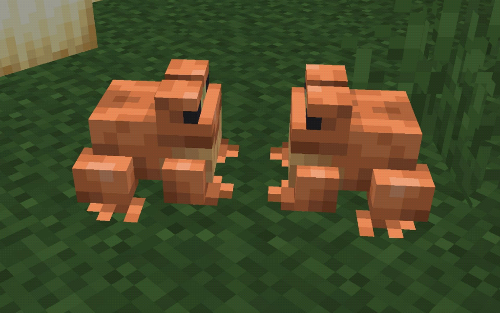 frogs’ love mode in Minecraft